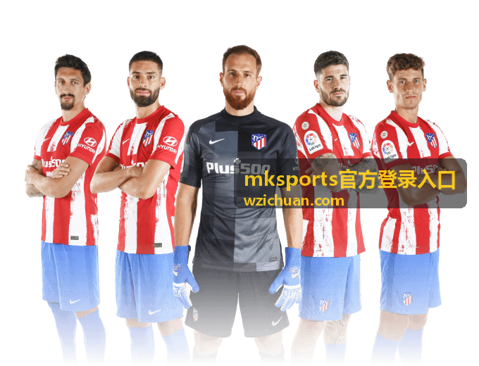 mksports官方登录入口客户端主界面示意