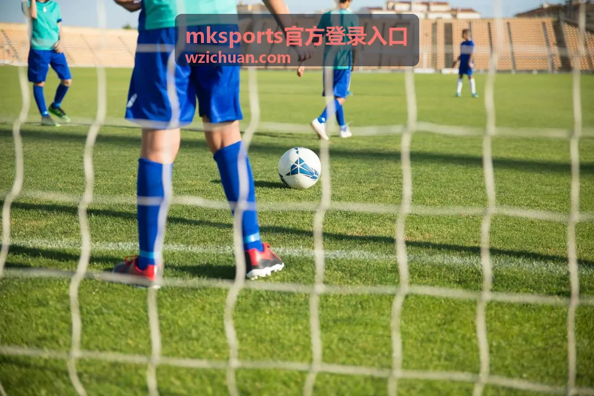 mksports官方登录入口 Windows 桌面端安装包下载