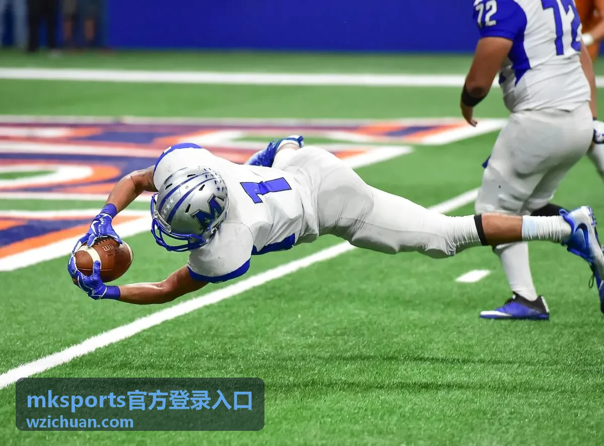 mksports官方登录入口登录后账号安全设置