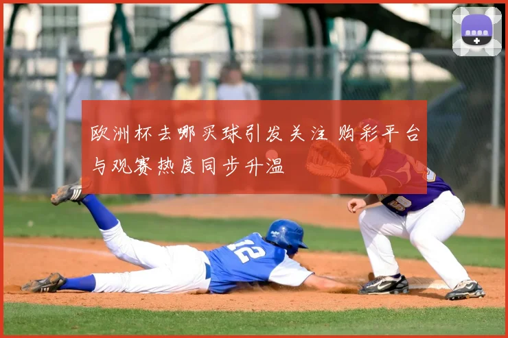 欧洲杯去哪买球引发关注 购彩平台与观赛热度同步升温