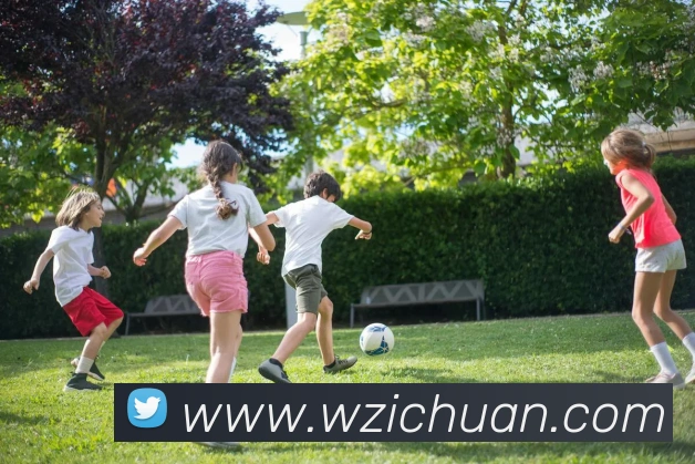 世界杯开户平台发展历程